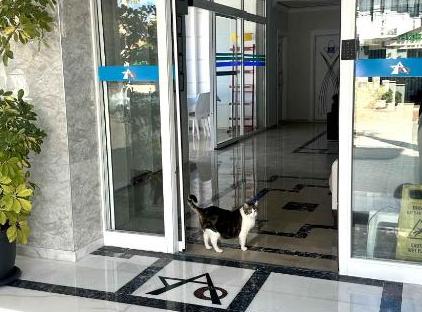 Amsterdam  Otel & Suit تورنگار