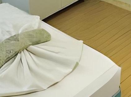 Amsterdam  Otel & Suit تورنگار