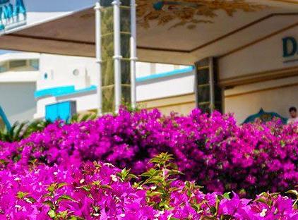 Daima Biz Hotel - All Inclusive تورنگار