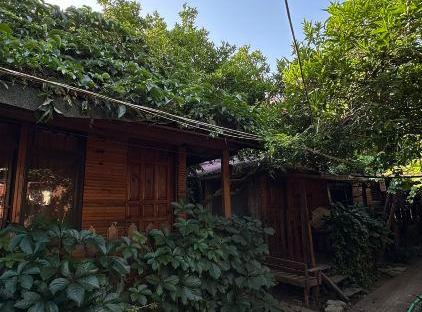 Natural Pansiyon تورنگار