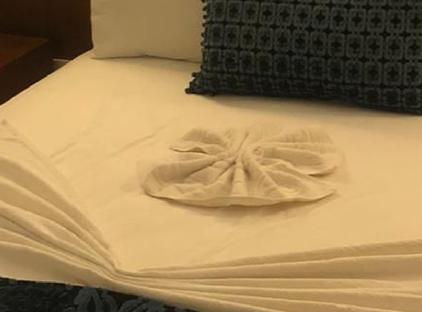 Best Hotel تورنگار