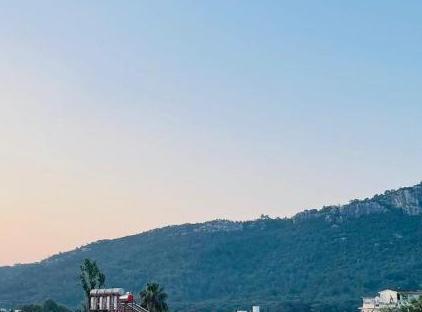 Best Hotel تورنگار