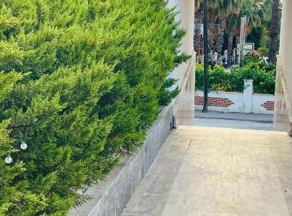 Best Hotel تورنگار