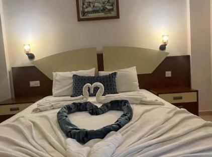 Best Hotel تورنگار
