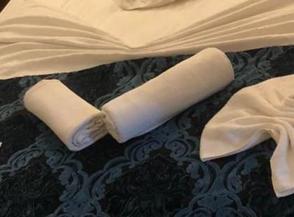Best Hotel تورنگار