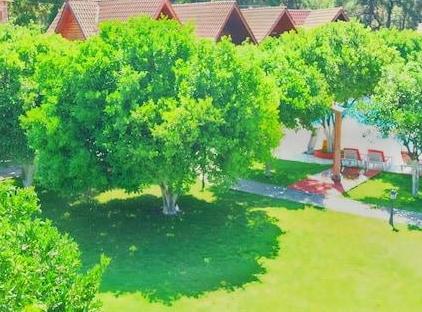 WOODLINE HOTEL تورنگار