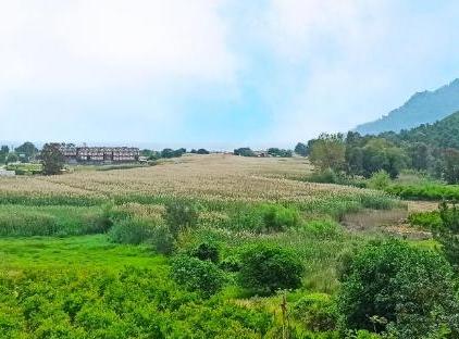 Swiss Eviniz Hotel تورنگار