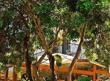 Swiss Eviniz Hotel تورنگار