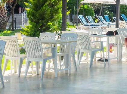 Tal Beach Hotel تورنگار
