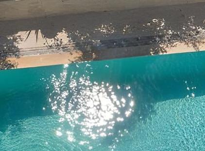Felicity Hotel & Bungalows تورنگار