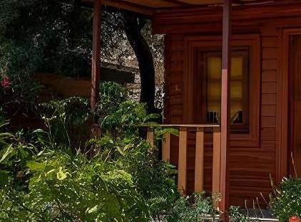 Felicity Hotel & Bungalows تورنگار