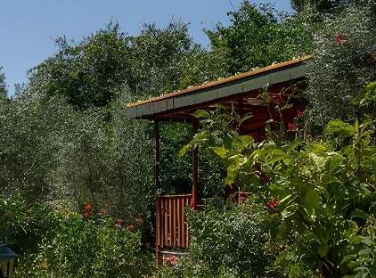 Felicity Hotel & Bungalows تورنگار