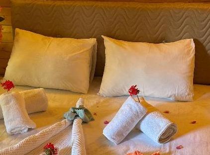 Felicity Hotel & Bungalows تورنگار