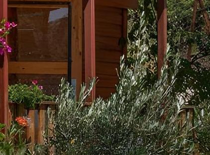 Felicity Hotel & Bungalows تورنگار