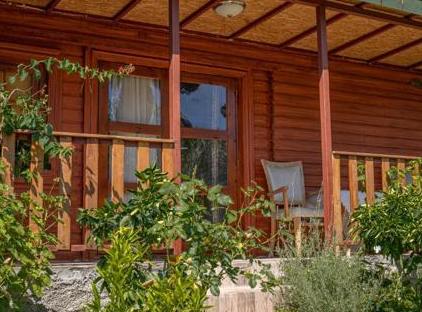 Felicity Hotel & Bungalows تورنگار