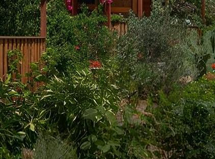 Felicity Hotel & Bungalows تورنگار