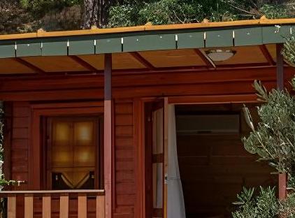 Felicity Hotel & Bungalows تورنگار