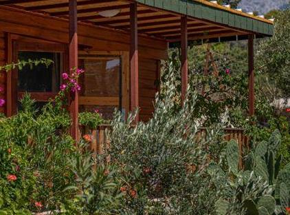 Felicity Hotel & Bungalows تورنگار