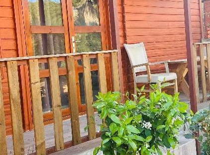 Felicity Hotel & Bungalows تورنگار