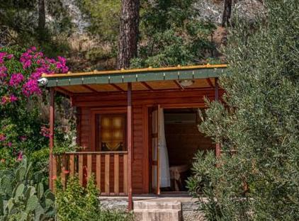 Felicity Hotel & Bungalows تورنگار
