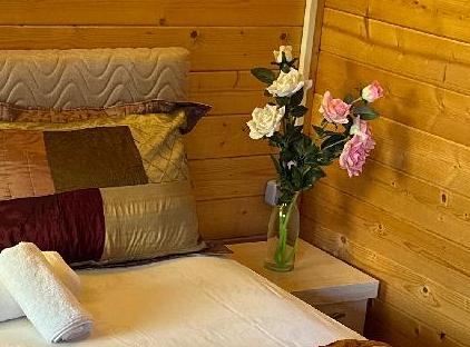Felicity Hotel & Bungalows تورنگار