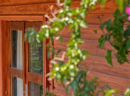 Felicity Hotel & Bungalows تورنگار
