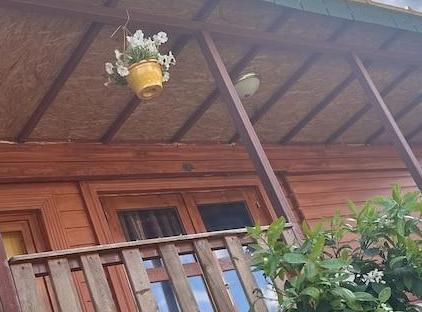 Felicity Hotel & Bungalows تورنگار