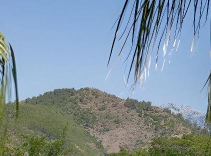 Felicity Hotel & Bungalows تورنگار