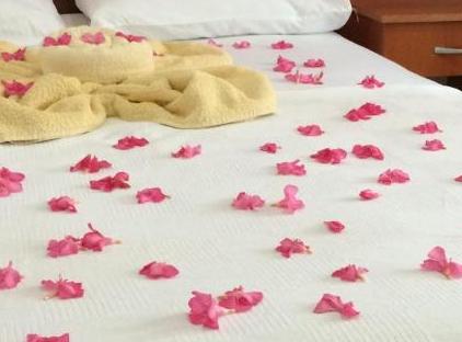 LATİNO HOTEL تورنگار