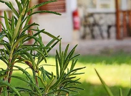 Yedi Butik Hotel آنتالیا تورنگار