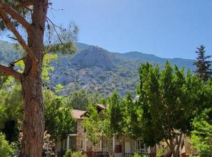 Yedi Butik Hotel تورنگار