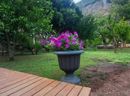 Yedi Butik Hotel تورنگار