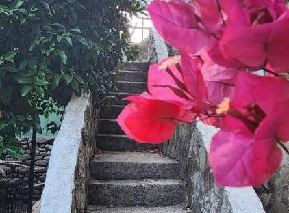 Yedi Butik Hotel تورنگار