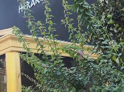 Club Herakles Hotel Kemer تورنگار