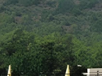 Infinity Hotel Kemer تورنگار