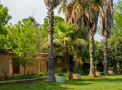 7 Garden Bungalow and Camping تورنگار