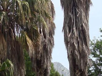 7 Garden Bungalow and Camping تورنگار