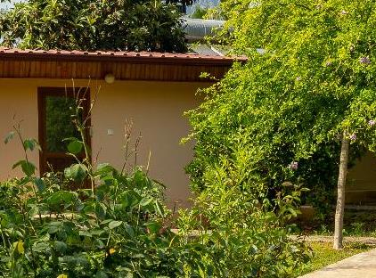 7 Garden Bungalow and Camping تورنگار