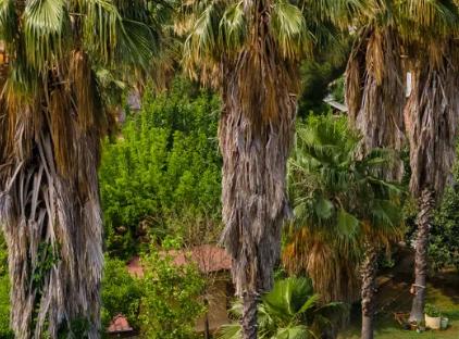 7 Garden Bungalow and Camping تورنگار