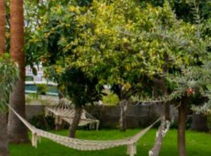 Malibu Garden Resort Hotel تورنگار
