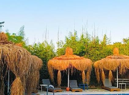 Erendiz Garden Hotel تورنگار