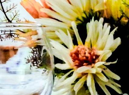 Erendiz Garden Hotel تورنگار