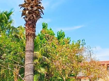 Erendiz Garden Hotel تورنگار