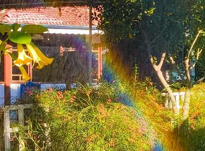 Erendiz Garden Hotel تورنگار