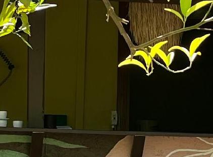 Pinea Pansiyon Çıralı  تورنگار