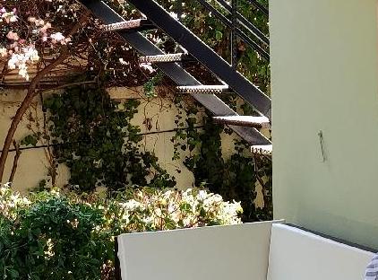 Pinea Pansiyon Çıralı  تورنگار