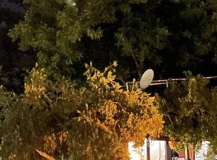 Pinea Pansiyon Çıralı  تورنگار