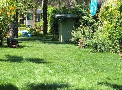 Alleria Belport Beach Hotel تورنگار