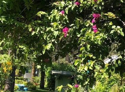 Alleria Belport Beach Hotel تورنگار