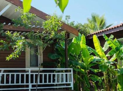 APELLA HOTEL تورنگار